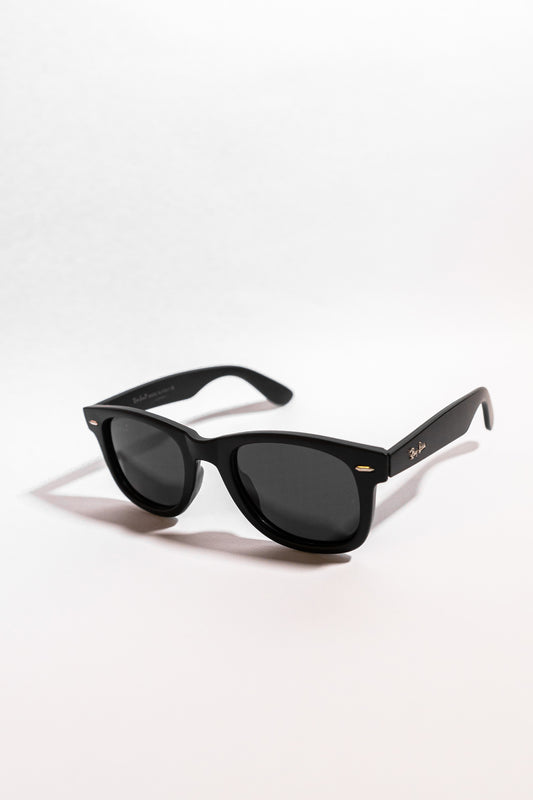 WAYFARER RB (Polarized) MATTE