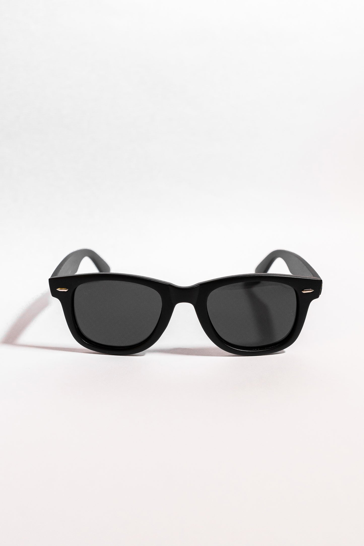 WAYFARER RB (Polarized) MATTE